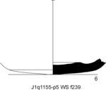 W21d0236 J1q1155-p05 S826 kF cv f239.jpg